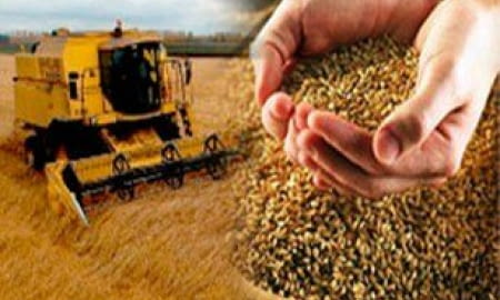 ТПП УКРАЇНИ ВІТАЄ ПРАЦІВНИКІВ СІЛЬСЬКОГО ГОСПОДАРСТВА З ПРОФЕСІЙНИМ СВЯТОМ