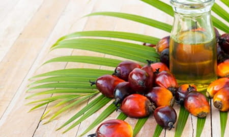 Комітет АПК при ТПП України виступив проти заборони використання пальмової олії у виробництві харчових продуктів