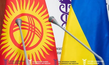 Українські та киргизькі підприємці провели В2В-перемовини