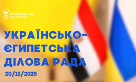 Оновлення української частини Україно-єгипетської ділової ради
