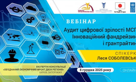 Вебінар «Аудит цифрової зрілості МСП. Інноваційний фандрейзинг і грантрайтинг»