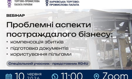 Проблемні аспекти постраждалого бізнесу: компенсація збитків та документування. Фіскальні можливості
