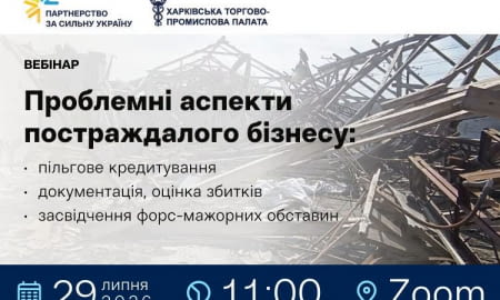 Проблемні аспекти постраждалого бізнесу