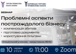 Проблемні аспекти постраждалого бізнесу: компенсація збитків та документування. Фіскальні можливості