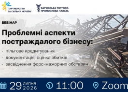 Проблемні аспекти постраждалого бізнесу