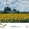 EU4Business надав консультаційну допомогу 50 українським підприємствам для виходу на закордонні ринки